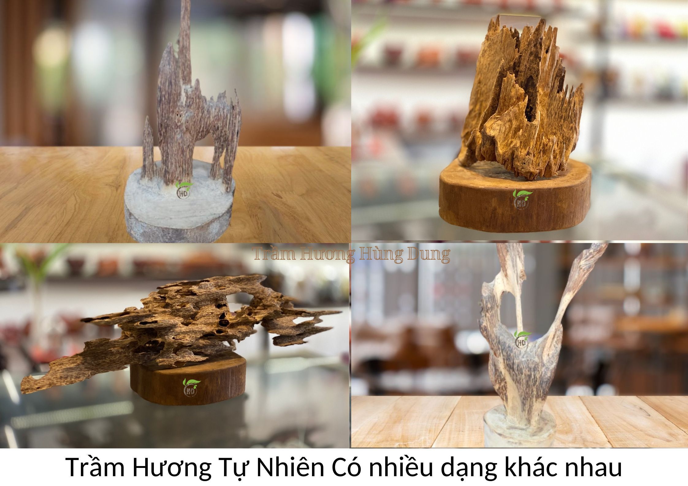 HIỂU NHƯ THẾ NÀO VỀ TRẦM HƯƠNG LÀ ĐÚNG?