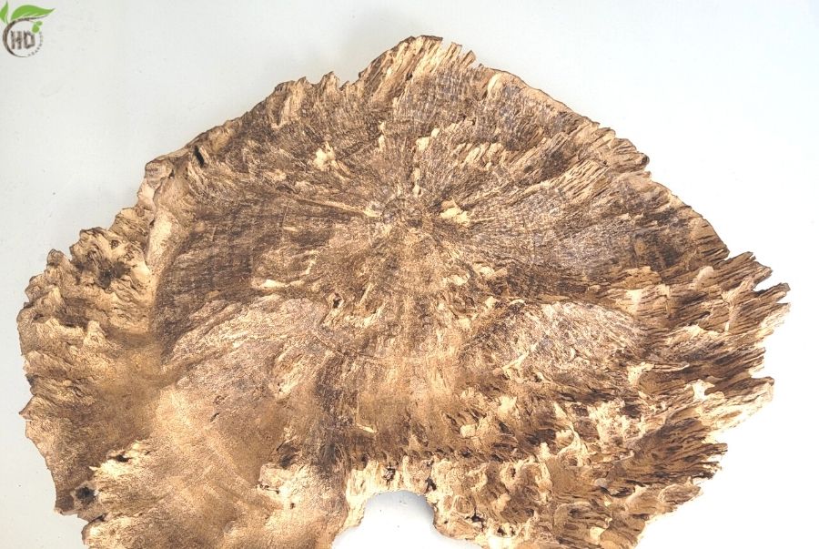 Những lợi ích khi trưng bày trầm cảnh bạn nên biết