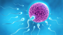 8 dấu hiệu rụng trứng dễ nhận biết nhất