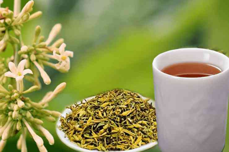 Thực hư công dụng chữa bệnh của hoa đu đủ đực, đây là 4 bài thuốc hiệu quả nhất nhưng tuyệt đối tránh sai lầm này!