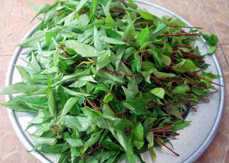 Loại rau rẻ tiền được ví tốt như nhân sâm không phải người Việt nào cũng biết ăn