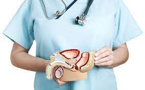 Review 10 viên uống tiền liệt tuyến tốt nhất hiện nay