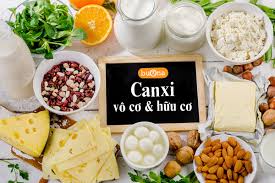Canxi hữu cơ là gì? Canxi hữu cơ khác gì canxi vô cơ?