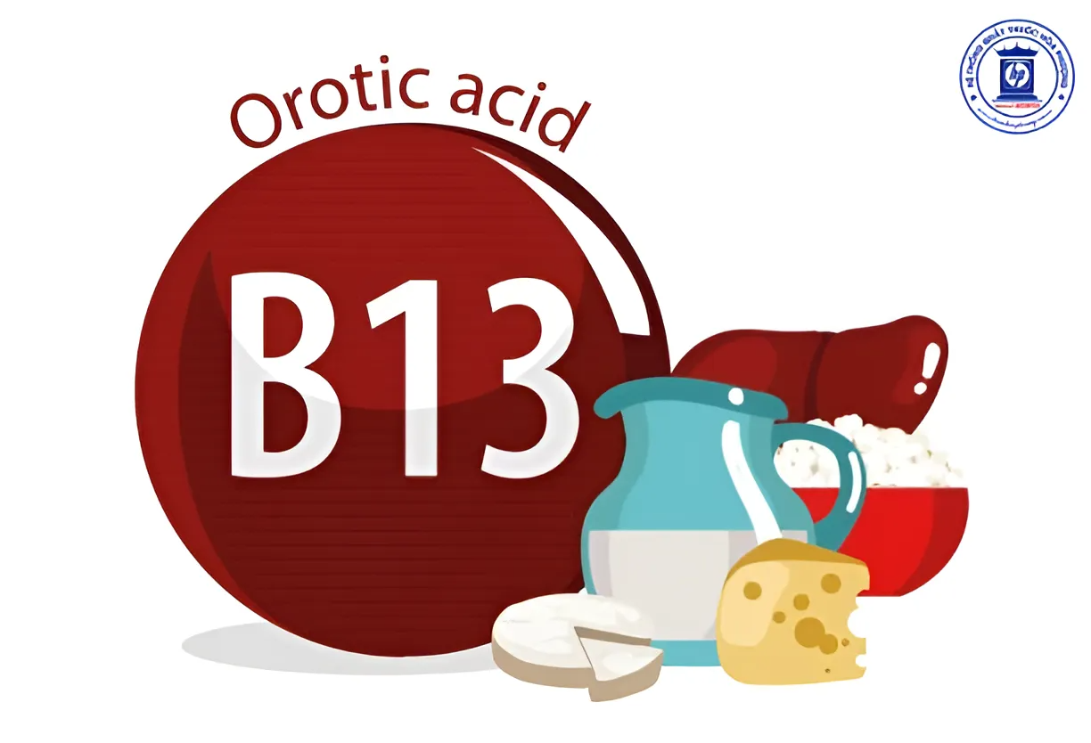 Vitamin B13 và điều bạn có thể chưa biết
