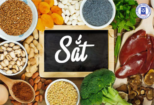 Những thực phẩm chứa nhiều Sắt mà bạn nên biết!