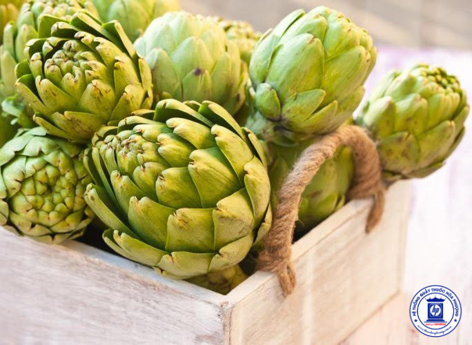 Khám Phá Cao Atiso: Lợi Ích Sức Khỏe Từ Thiên Nhiên