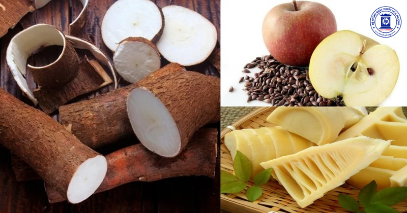 Tìm Hiểu Về Xyanua: Chất Độc Tự Nhiên Trong Thực Phẩm