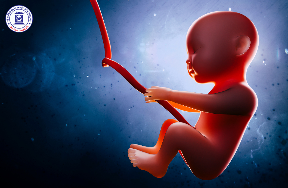 Suy Dinh Dưỡng Bào Thai: Từ Nguyên Nhân Đến Giải Pháp