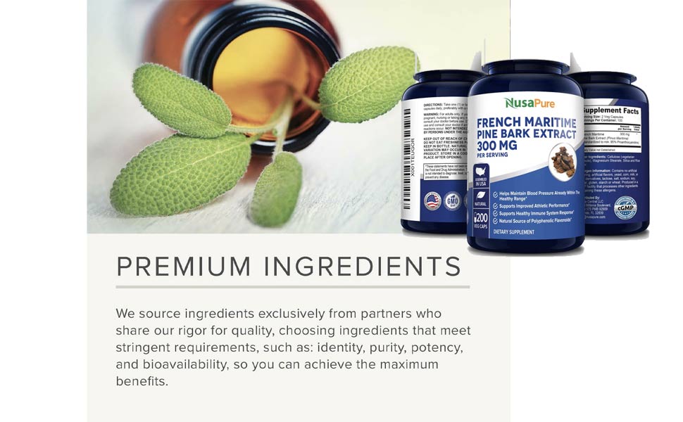 Hỗ trợ sức khỏe vỏ cây thông biển Pháp Nusapure French Maritime Pine