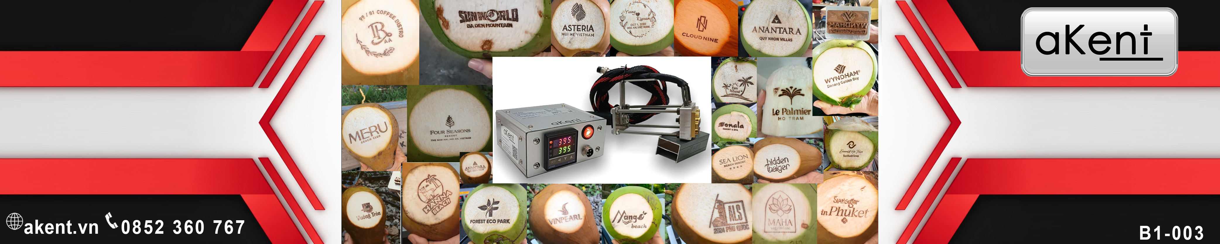 [B1-003] Tăng độ nhận diện thương hiệu với In Logo lên trái dừa tươi Việt Nam