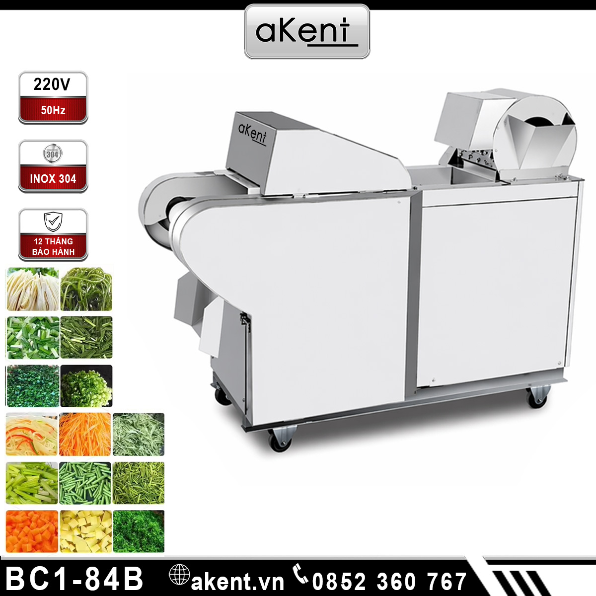 Máy băm nhỏ thành sợi rau củ khoai tây bào rong biển BC1-84B