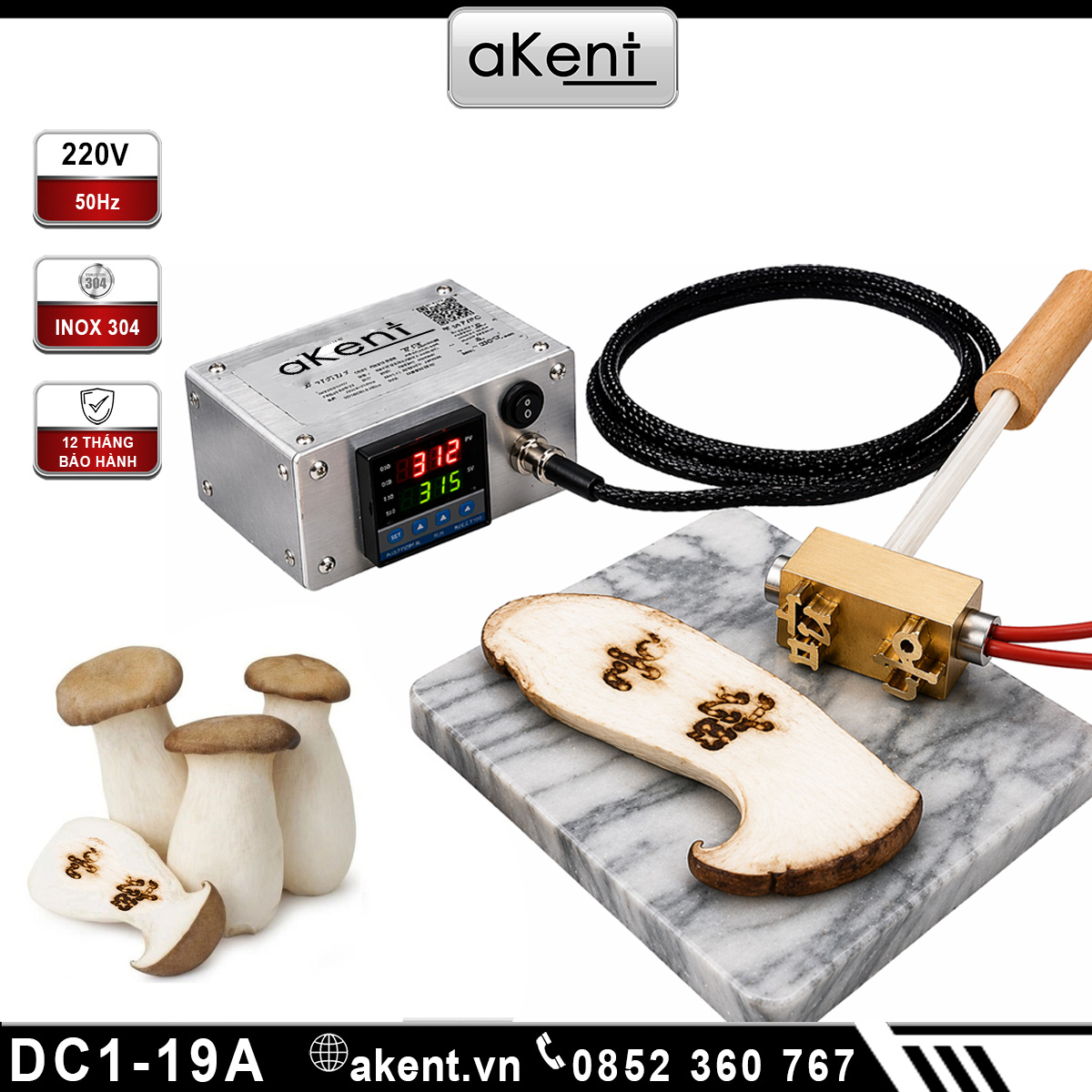 Máy đóng nhiệt logo hình thương hiệu lên nấm dùi gà DC1-19A