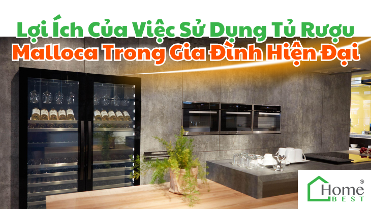 Lợi Ích Của Việc Sử Dụng Tủ Rượu Malloca Trong Gia Đình Hiện Đại