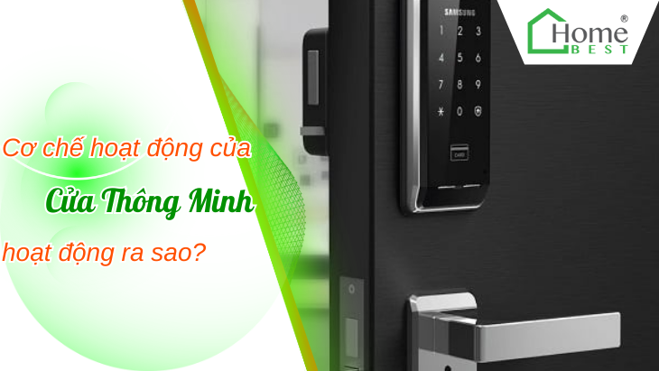 Cơ Chế Báo Động Của Khóa Cửa Thông Minh Hoạt Động Ra Sao?