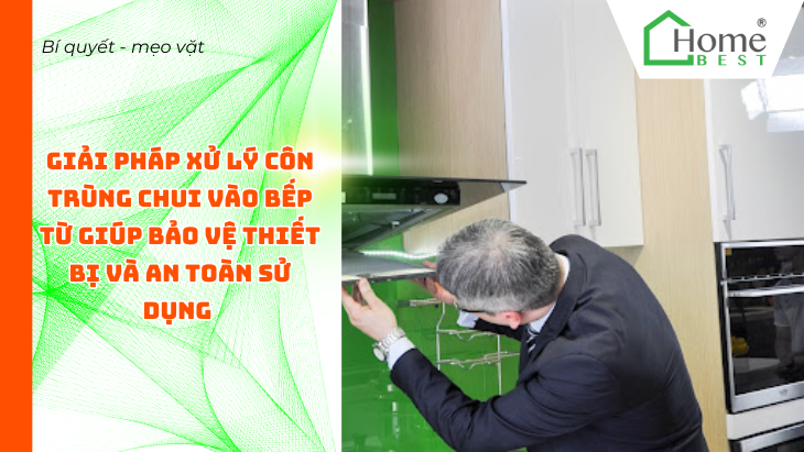 Giải pháp xử lý côn trùng chui vào bếp từ giúp bảo vệ thiết bị và an toàn sử dụng