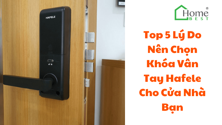 Top 5 Lý Do Nên Chọn Khóa Vân Tay Hafele Cho Cửa Nhà Bạn