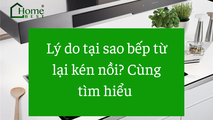 Lý do tại sao bếp từ lại kén nồi? Cùng tìm hiểu