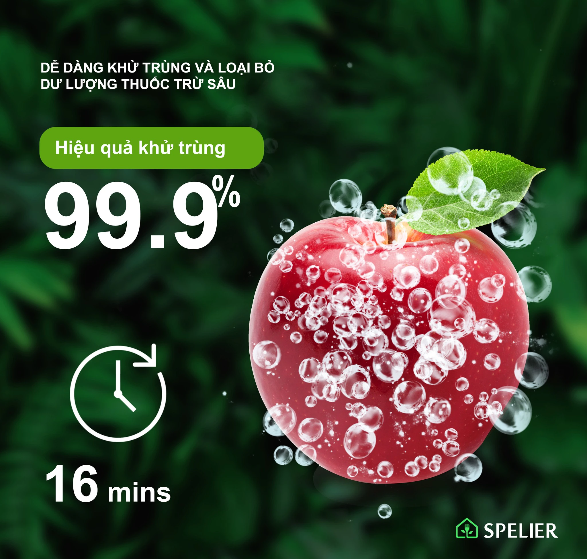 Máy rửa chén bát Spelier SMS 08 Plus1 DW | Home Best