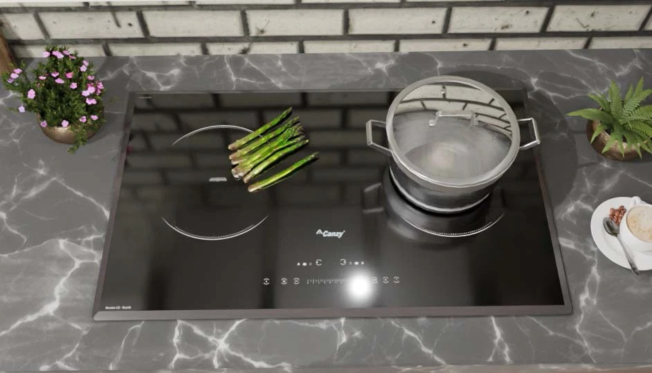 Bếp từ đôi Canzy CZ-TL67A