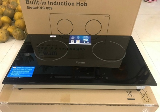Bếp từ đôi Fermi NG 009 PLATINUM