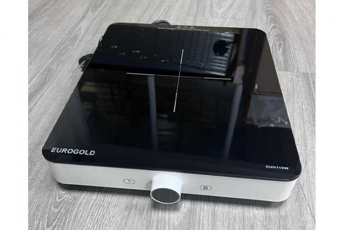 Bếp từ đơn Eurogold EUH110W