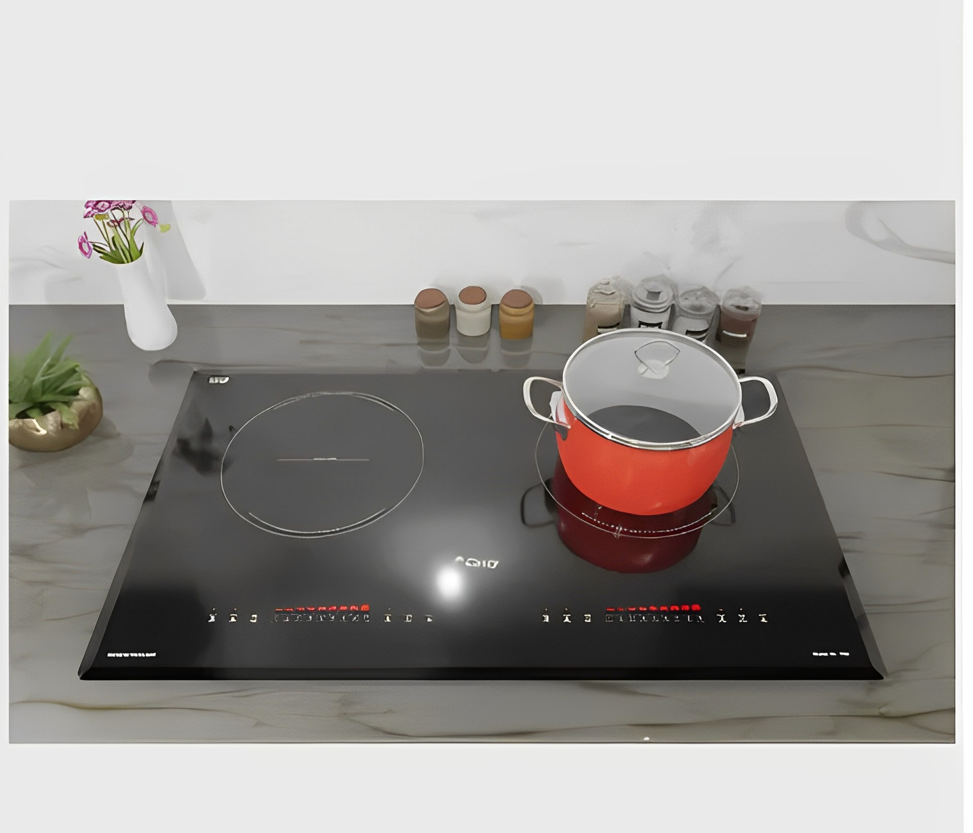 (Combo) Bếp từ đôi Canzy CZ-79D