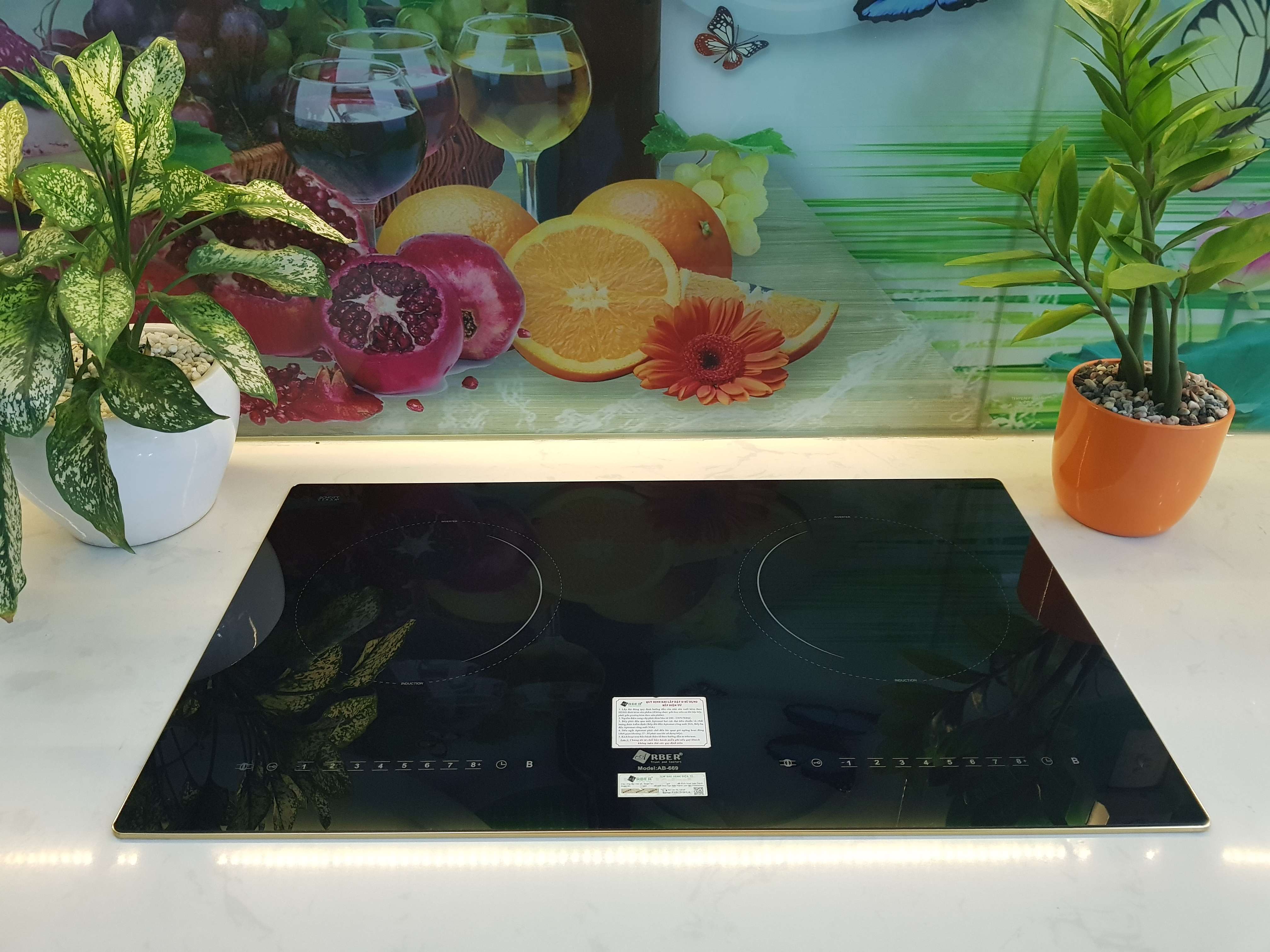 Bếp từ đôi Arber AB-669