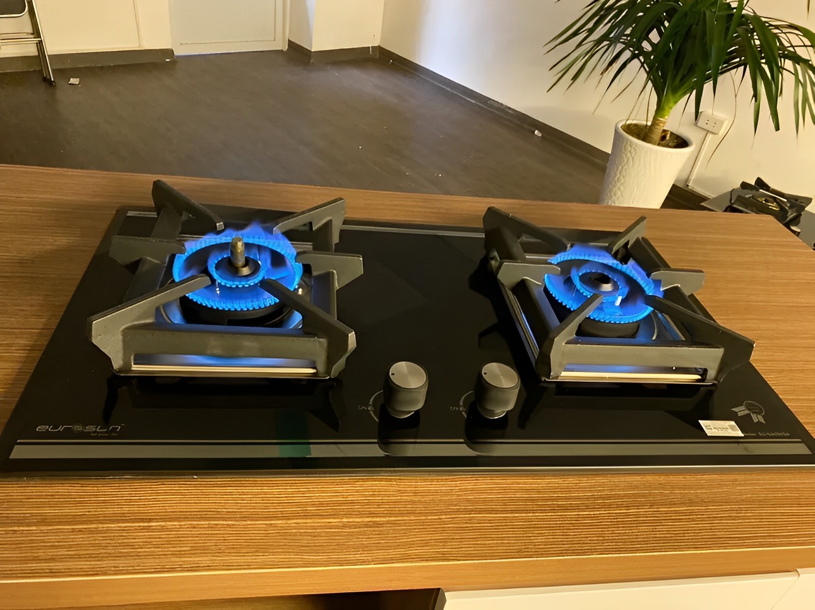 Bếp gas âm Eurosun EU-GA292SA