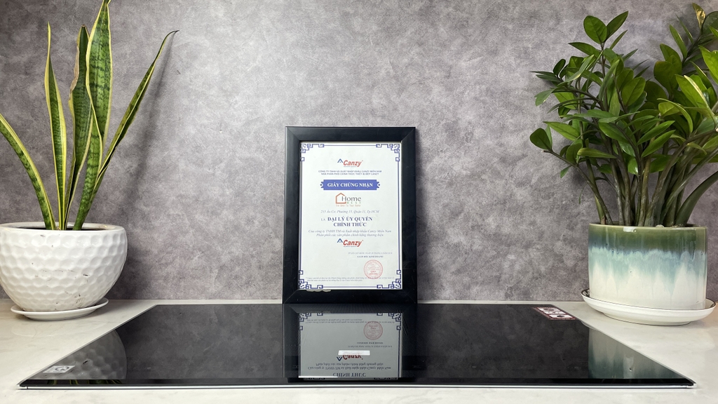 (Combo) Bếp từ đôi Canzy CZ-SG002