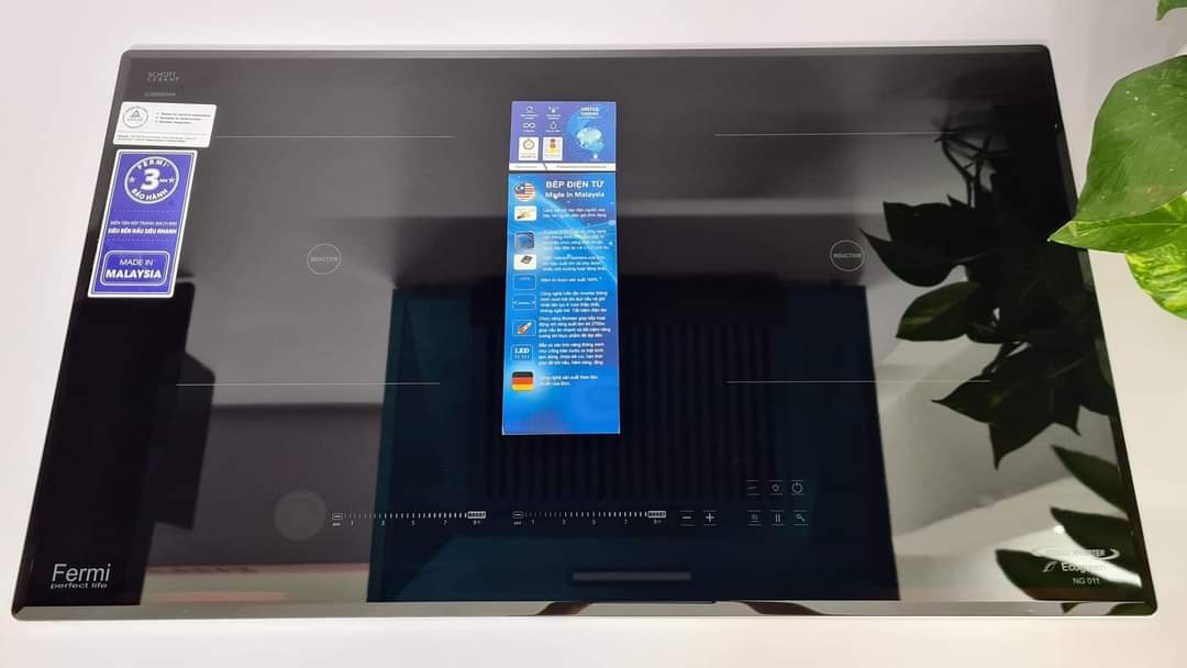 Bếp từ đôi Fermi NG 011