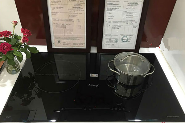 Bếp từ đôi Canzy CZ-67P