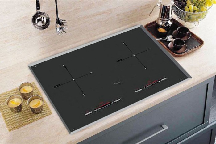 Bếp từ đôi Canzy CZ-ML779G