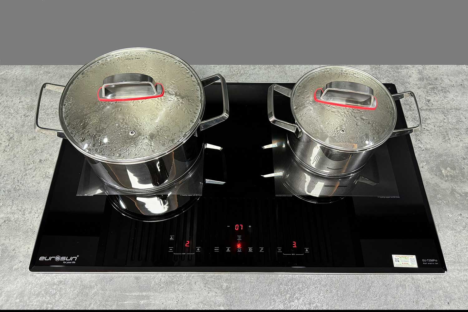 Bếp từ đôi Eurosun EU-T256Pro