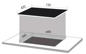 Bếp từ đôi Dmestik ML 207 DKI