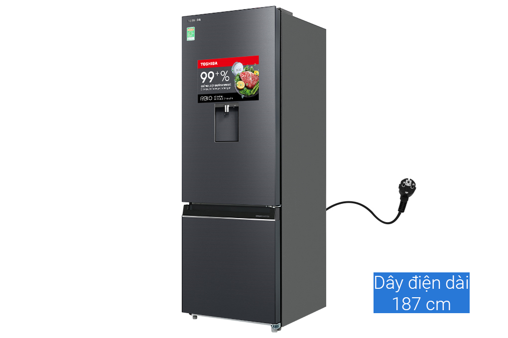 Tủ lạnh 2 cánh TOSHIBA RB405WE-PMV(06)-MG