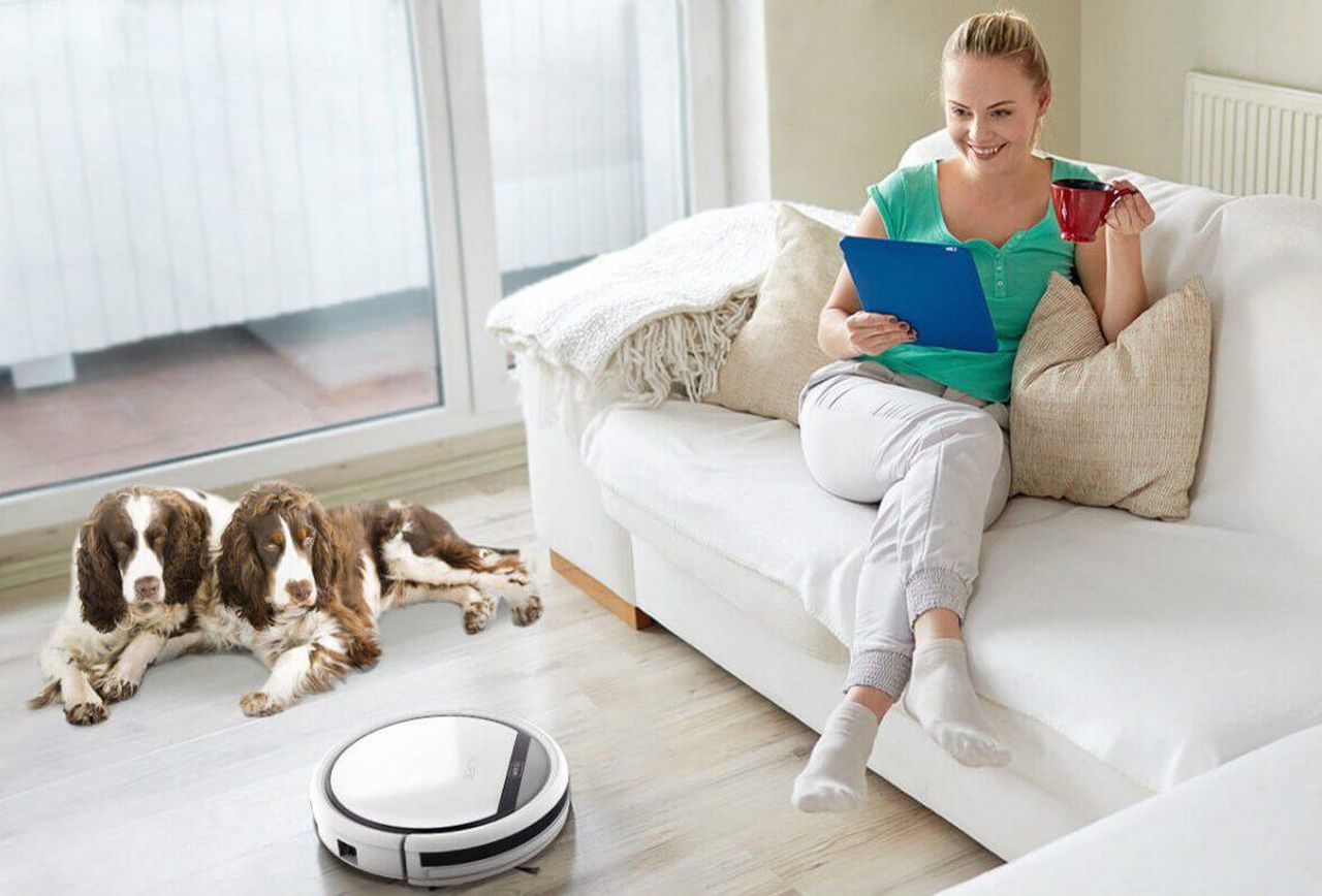 7 Cách Cải Thiện Chất Lượng Không Khí Trong Nhà Mà Không Cần Sử Dụng Hóa Chất