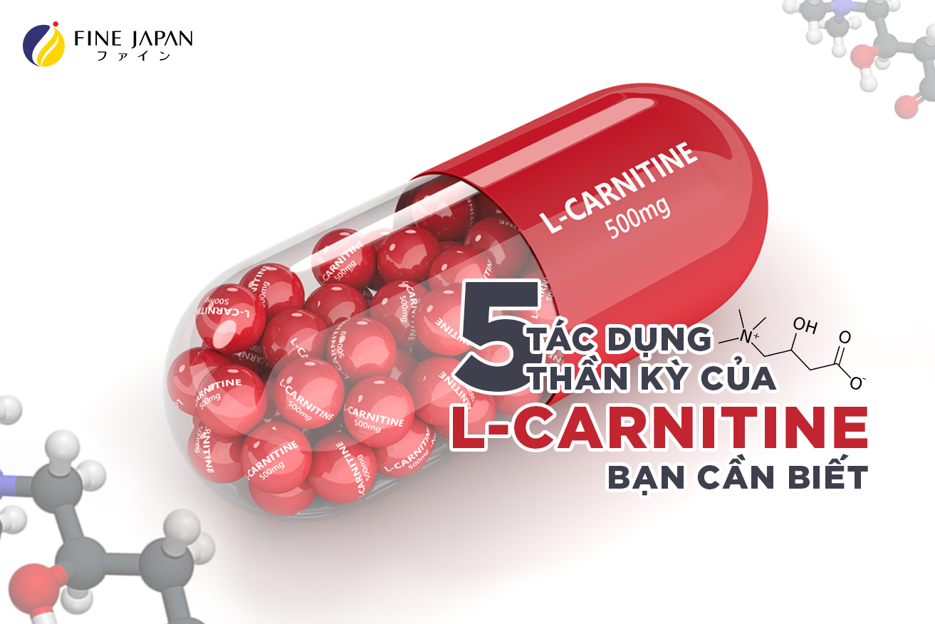 5 tác dụng thần kỳ của L-Carnitine bạn cần biết 5 tác dụng thần kỳ của L-Carnitine bạn cần biết
