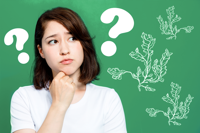 Uống Fucoidan có tốt không? Uống Fucoidan có tốt không?