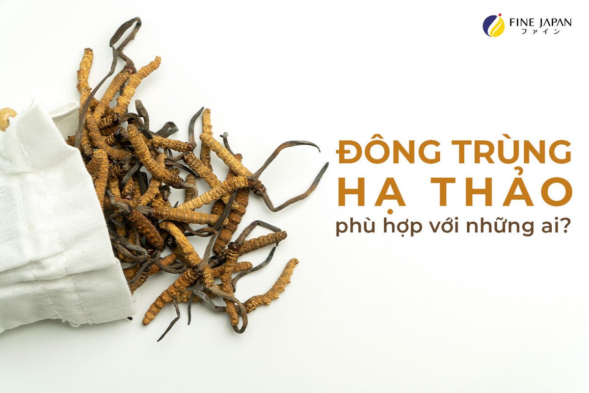 Nên sử dụng Đông trùng hạ thảo cho những ai? Nên sử dụng Đông trùng hạ thảo cho những ai?