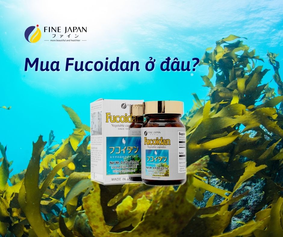 Mua Fucoidan tốt nhất ở đâu? Mua Fucoidan tốt nhất ở đâu?