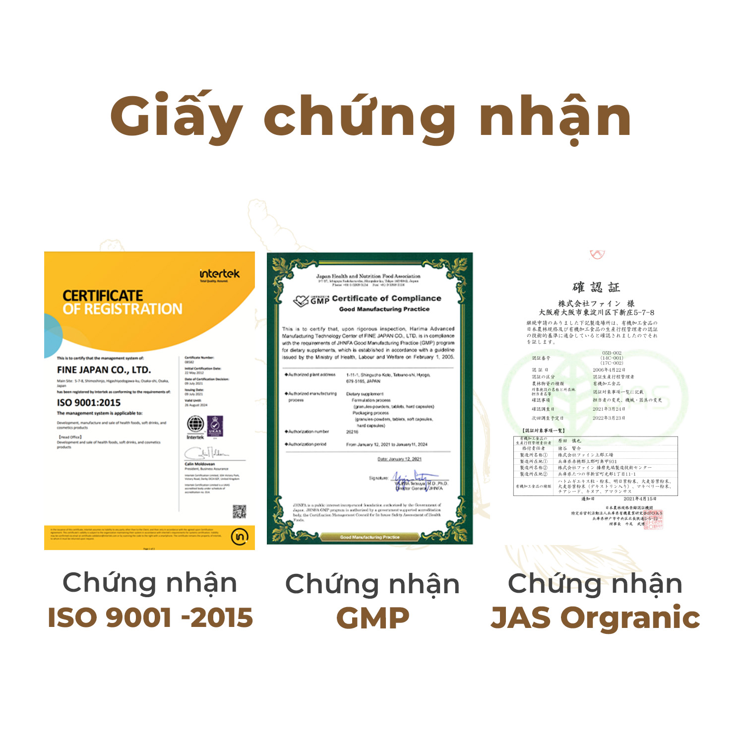 Natto Kinase Fine Japan đã có mặt tại Việt Nam