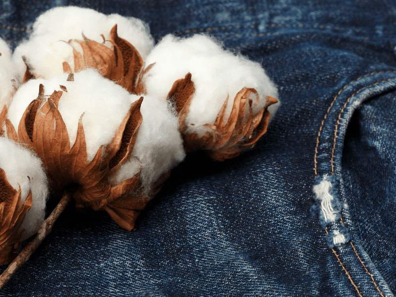 Vải Jean Cotton là gì? Các loại vải jean cotton tốt nhất hiện nay - Lados