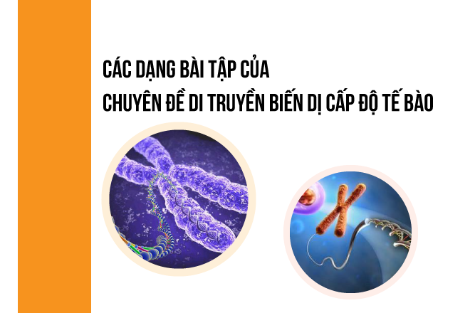 Các dạng bài tập Di truyền và biến dị cấp độ tế bào