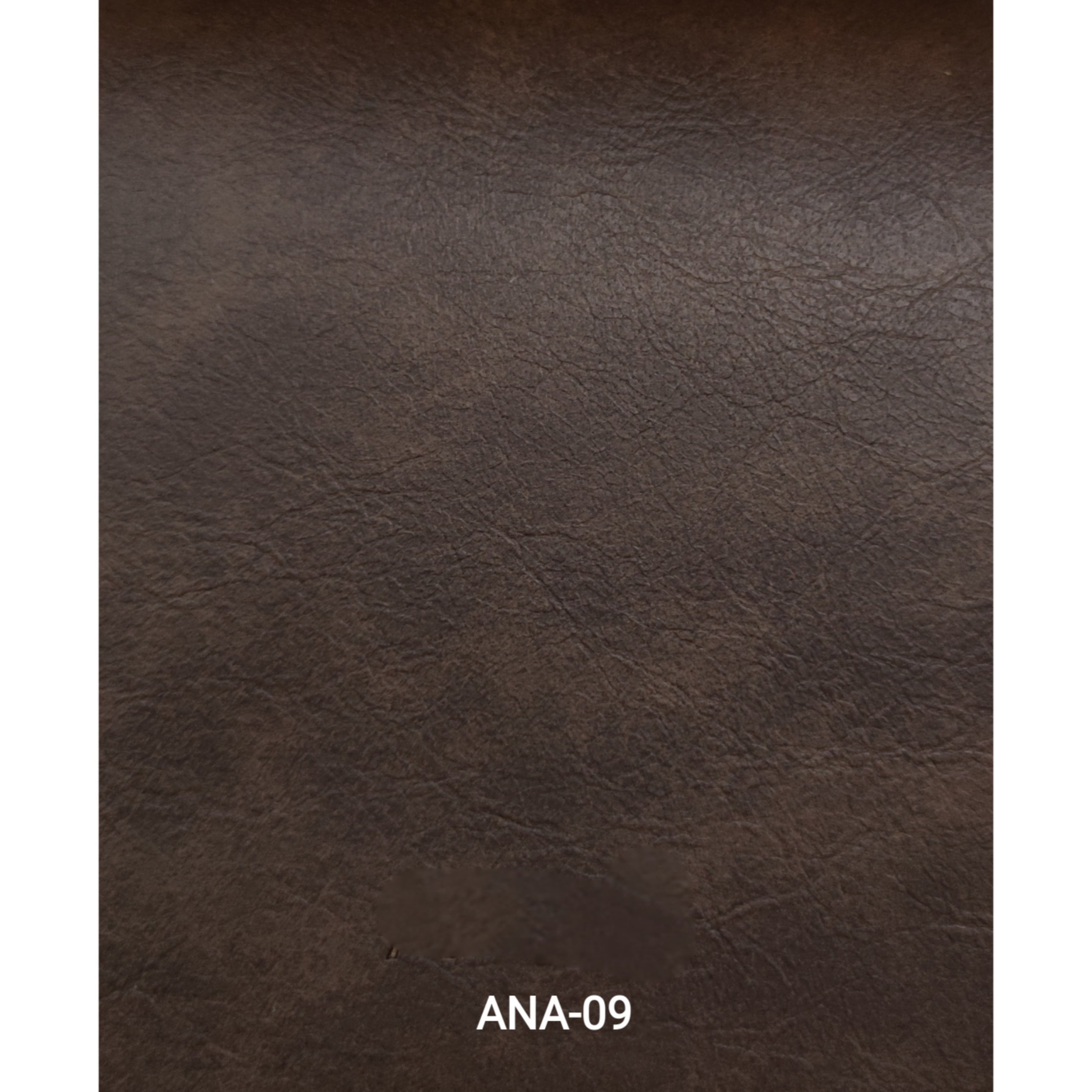 KITA-ANA-9
