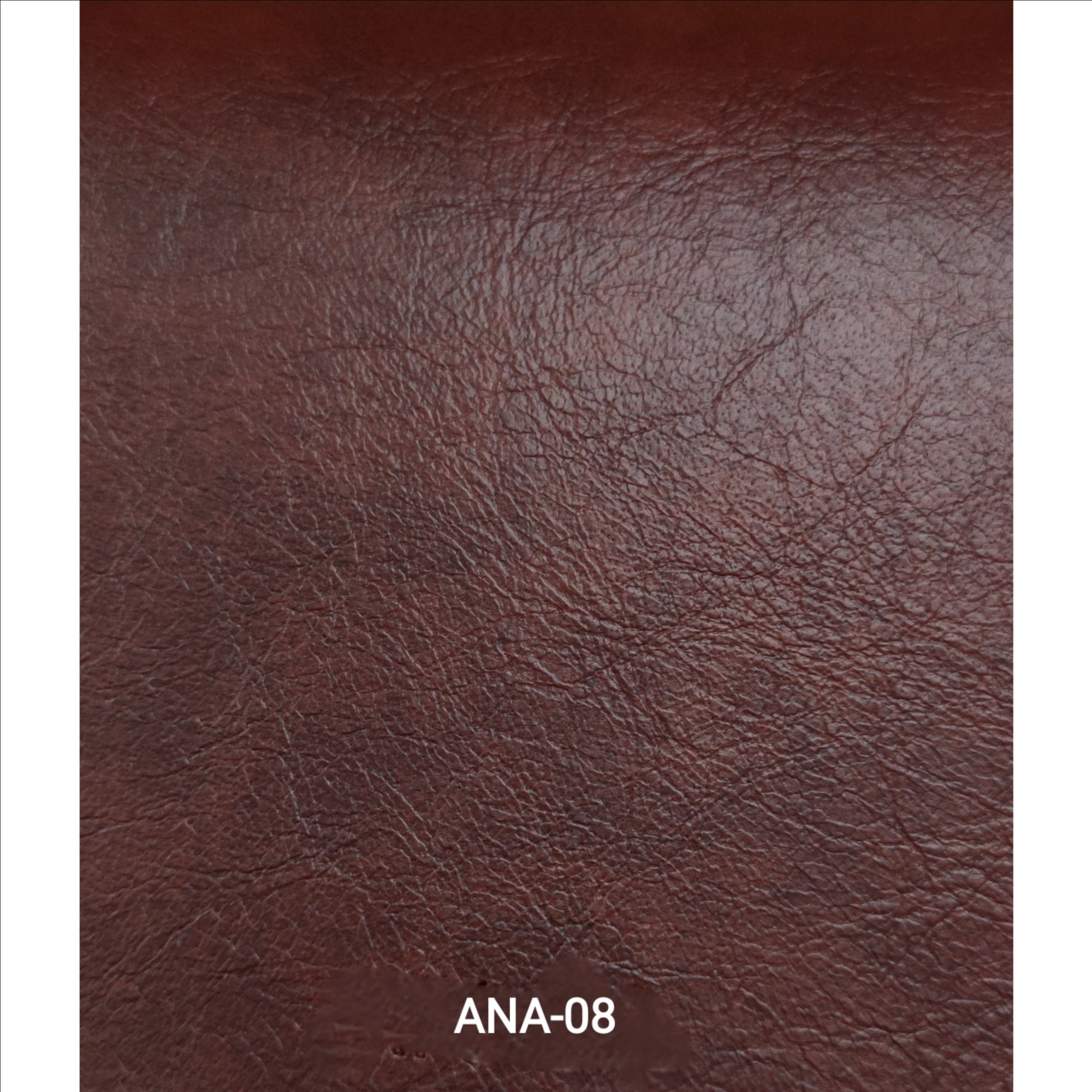 KITA-ANA-8