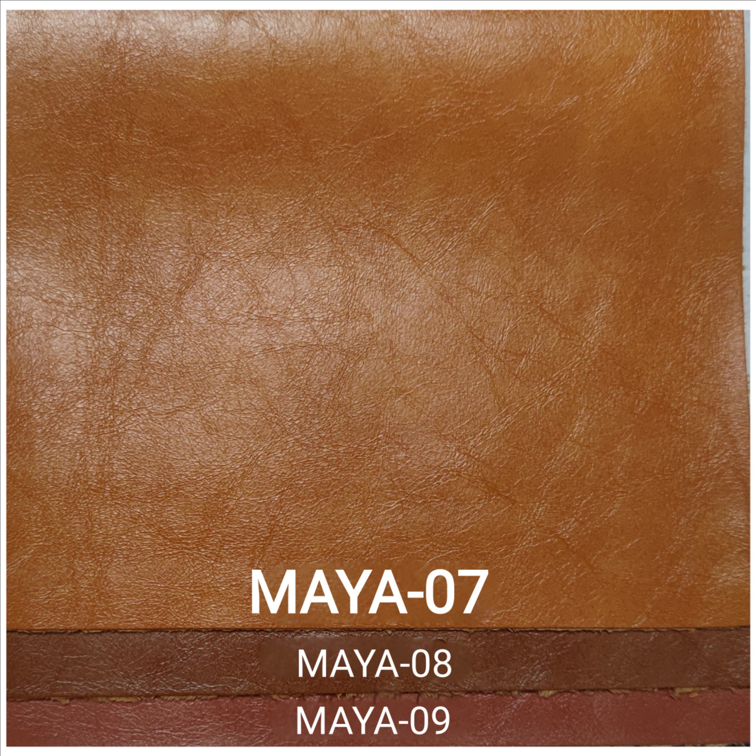 KITA-MAYA-7