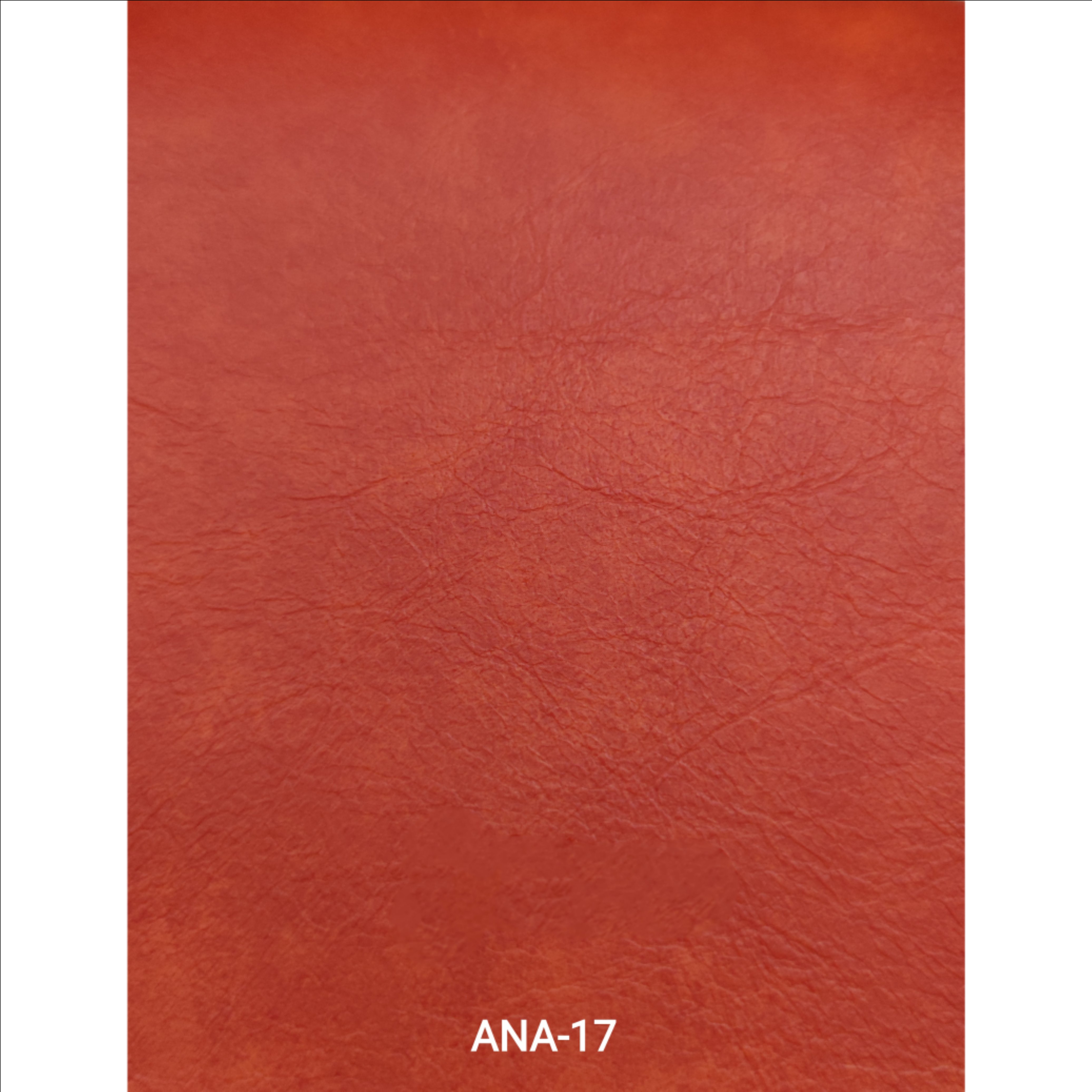 KITA-ANA-17