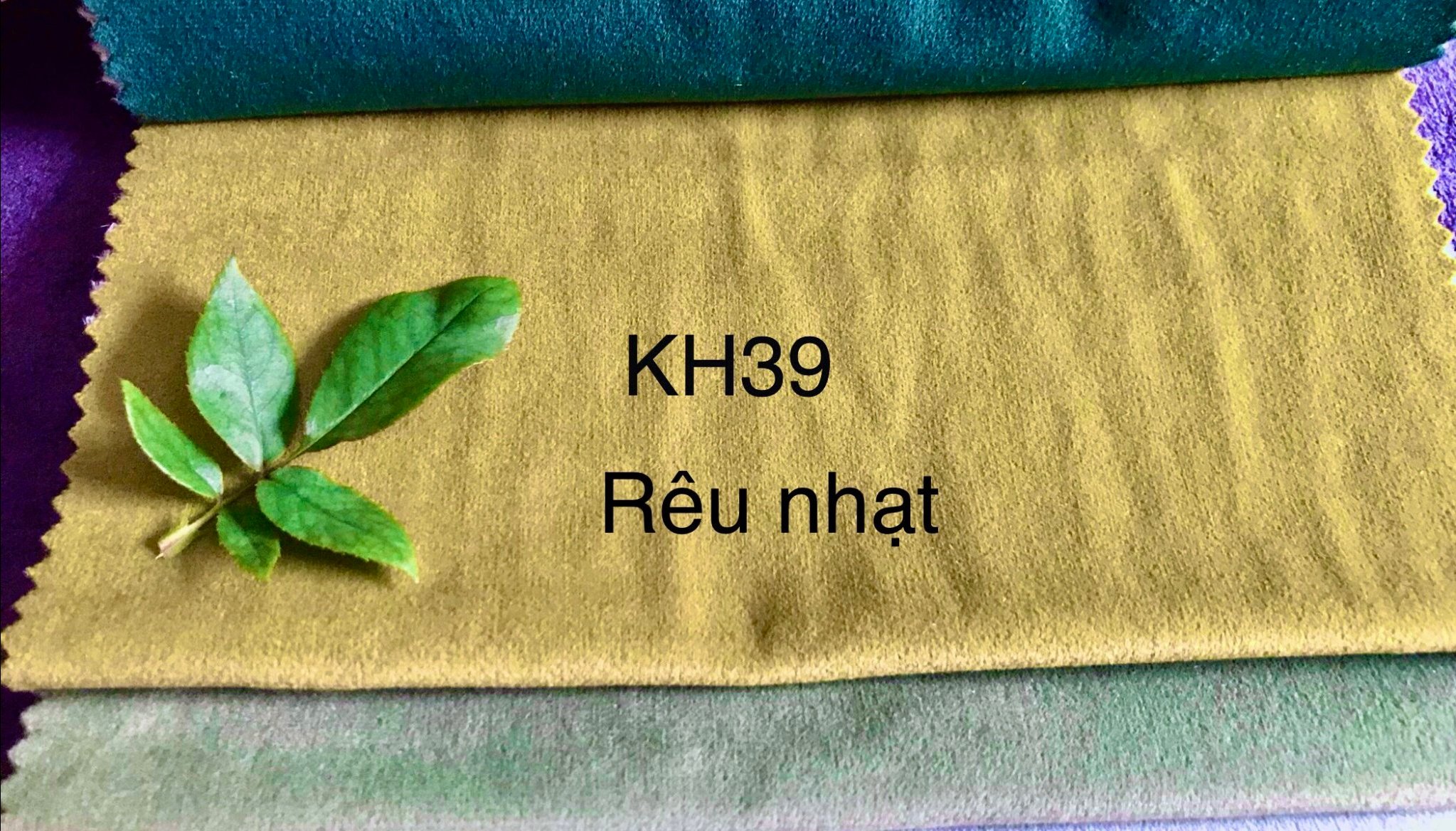 KITA-SAMI-KH-39:-VẢI NHUNG CAO CẤP - MÀU XANH LÁ MẠ