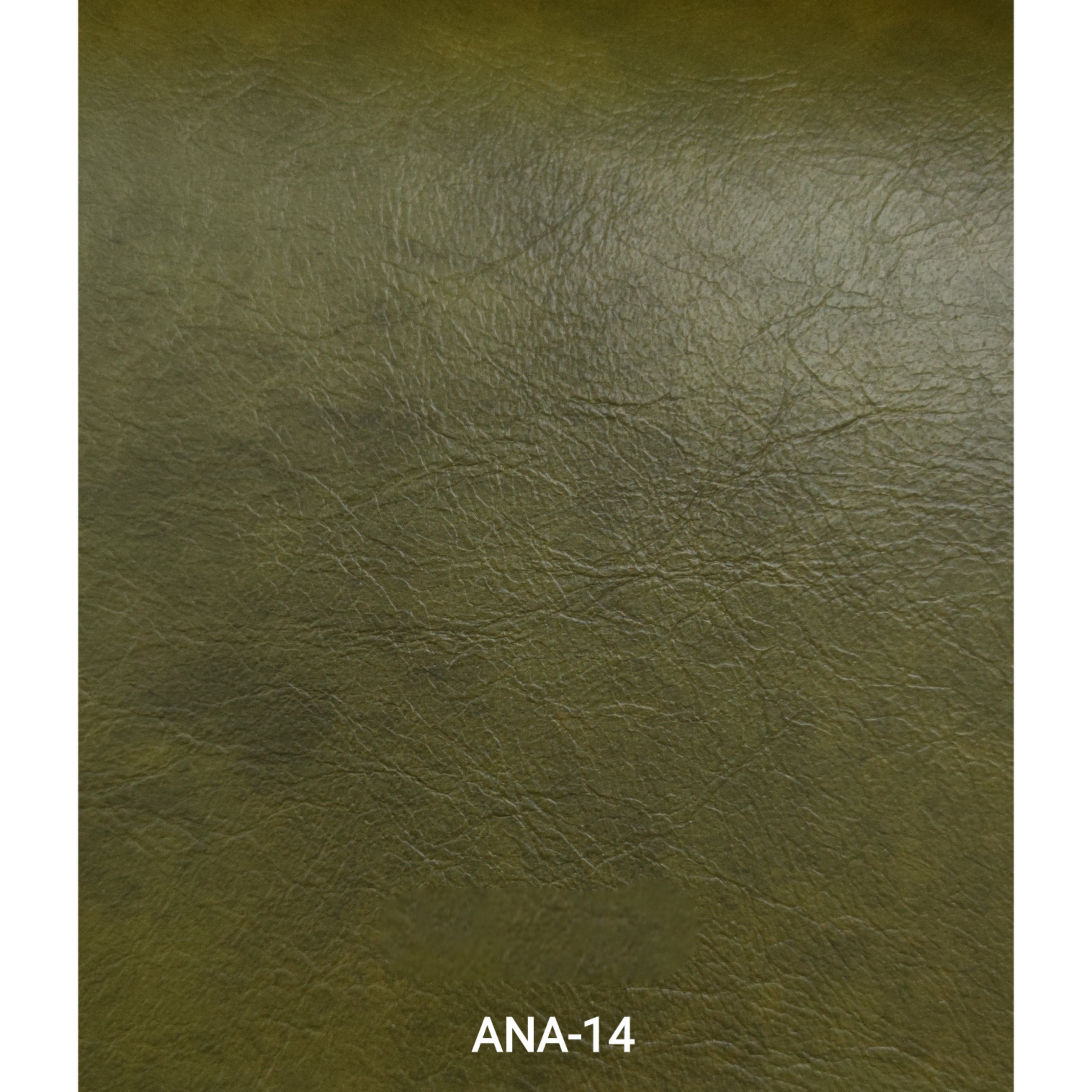 KITA-ANA-14