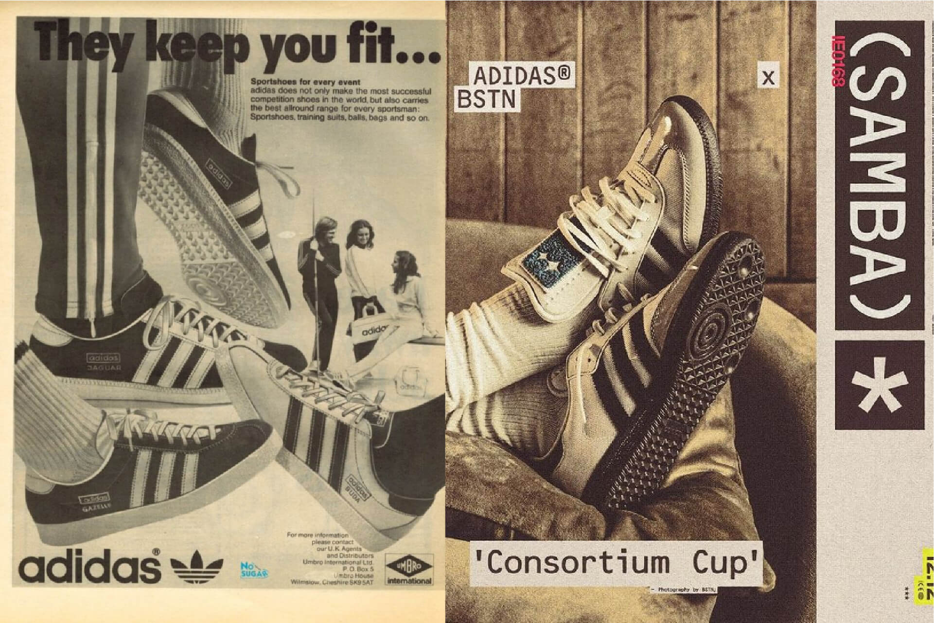 giay-adidas-chinh-hang